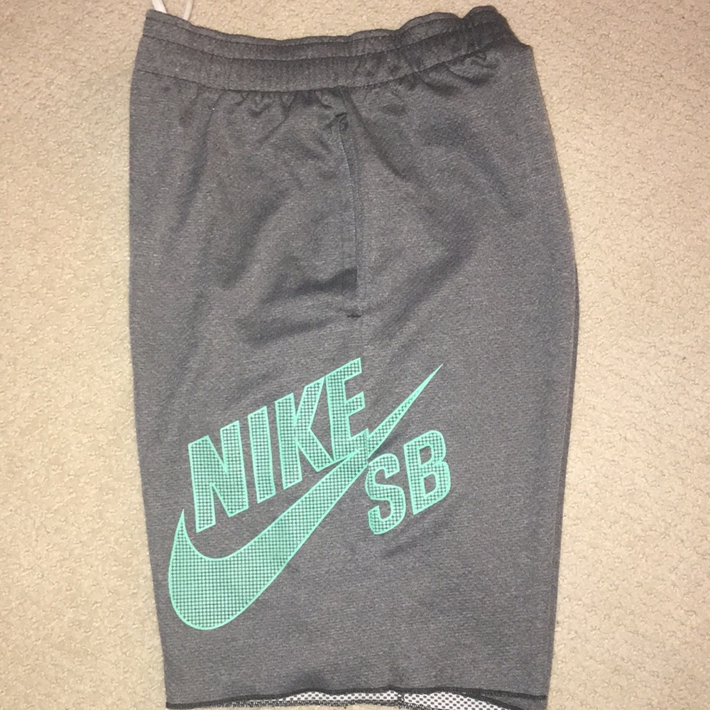 Nike SB shorts